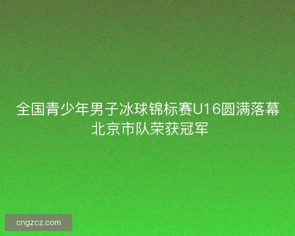 全国青少年男子冰球锦标赛U16圆满落幕 北京市队荣获冠军